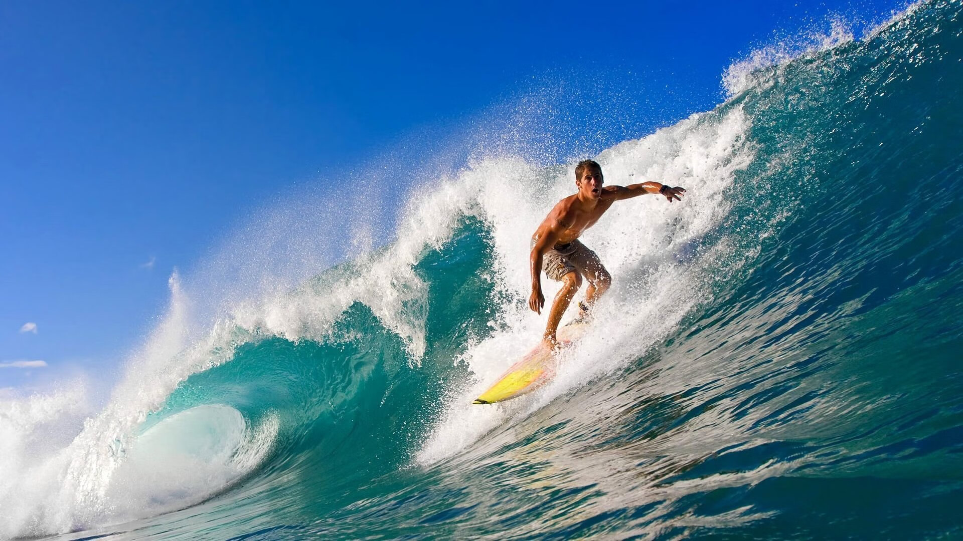 体育新闻中心特别快讯播报,体育新闻最新快报